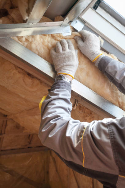 Best Insulation Repair Services  in Carbonville, UT